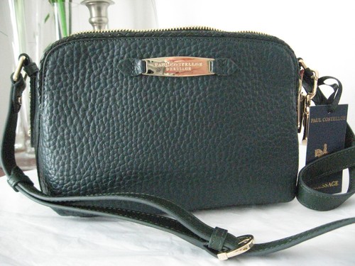 Paul costelloe dressage - paul,