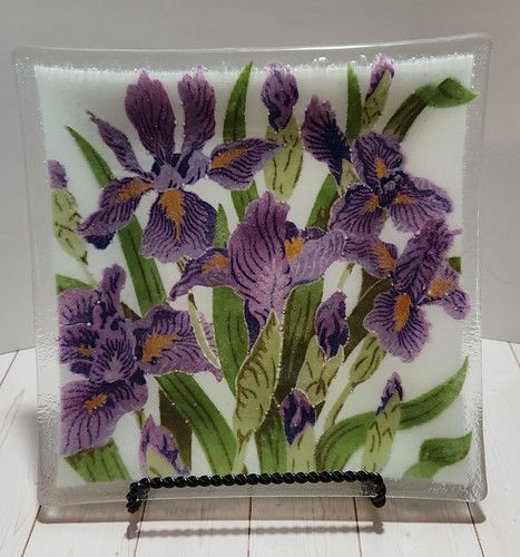 2012 peggy karr wild iris - 10",