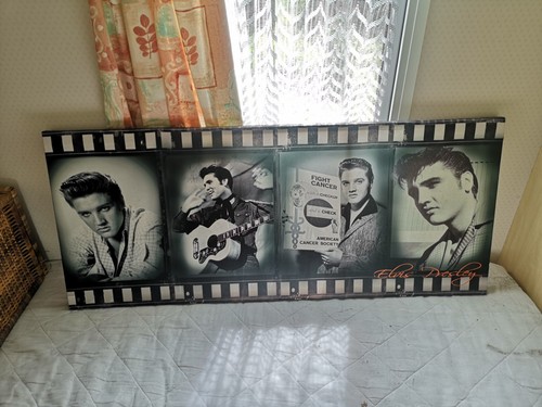Long elvis canvas - elvis, art