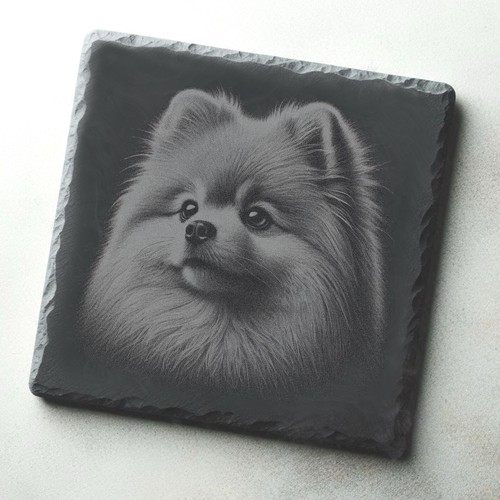 Pomeranian dog engraved slate - engraved,
