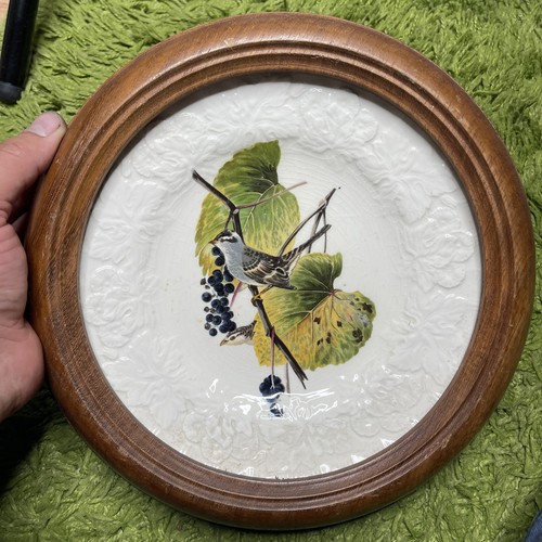 Meakin audubon birds of - a.,
