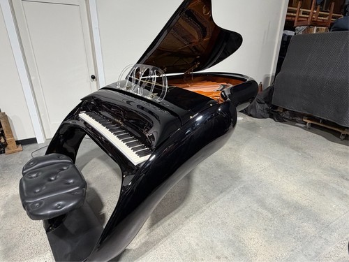 Rare extraordinary schimmel - &,
