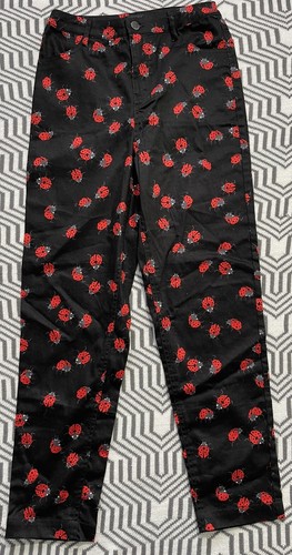 Dangerfield ladybug beetle - ladybug,