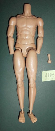 Scale nude male - 1/6,