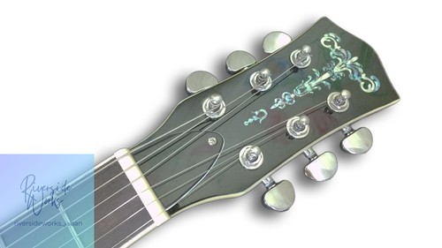 Resonator guitar - resonator,