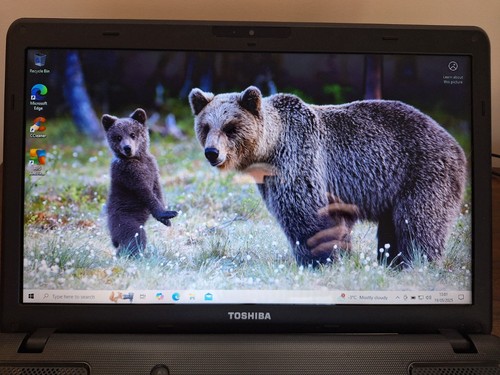 Toshiba satellite pro - toshiba, c660-1