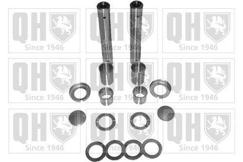 Kingpin repair kit for citroen - repair,