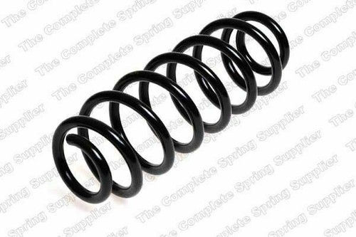 Rear suspension coil spring - rear,