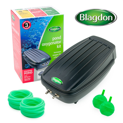 Blagdon standard pond - blagdon,