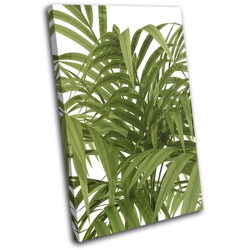 Leaves botanical green - leaves,