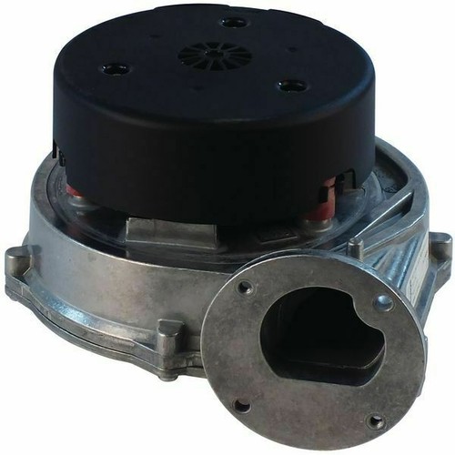Alpha 029719 boiler fan - boiler,