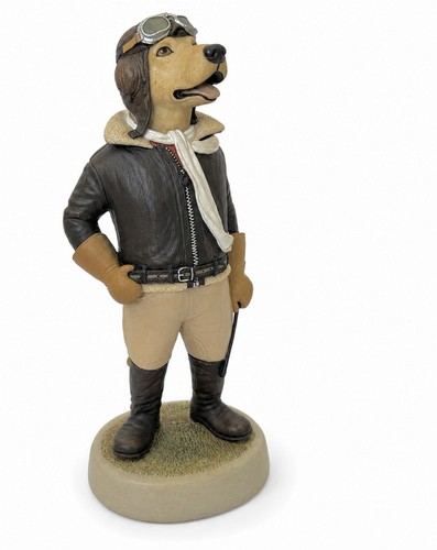 Labrador dog aviator - dog,