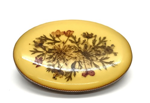 Vintage lucite brooch with - lucite,