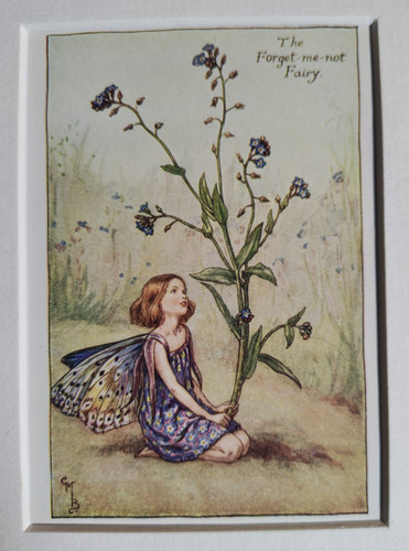Forget not fairy - me,