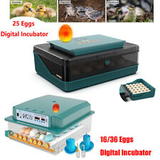 16/36 Eggs Digital Incubator