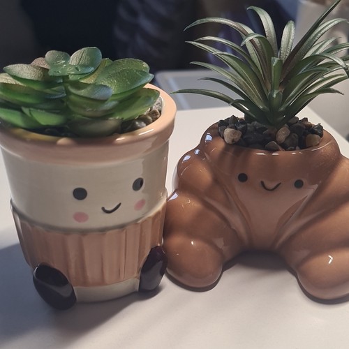 Glazed ceramic succulent - glazed,
