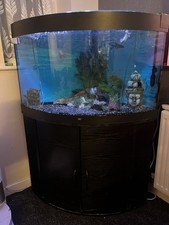 Juwel Lido 200 Aquarium and