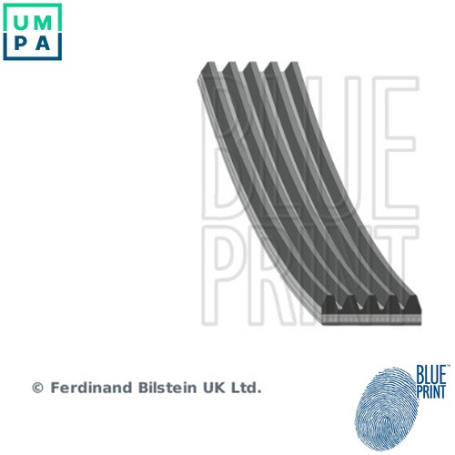 Vribbed belt ad05r1138 for - vribbed,