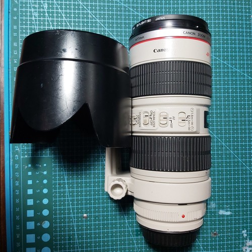 Canon 200mm 8 l image - canon, ef