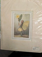 Vintage Flower Fairies Print & Mount The Primrose Fairy Cicely Mary Barker 1930s