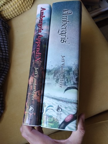 Jeff vandermeer ambergris - -,