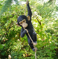 Climbing Chimp Monkey Tree