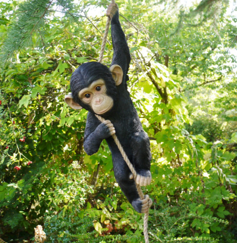Climbing chimp monkey tree - chimp,