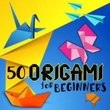 Origami for Beginners: Amazing