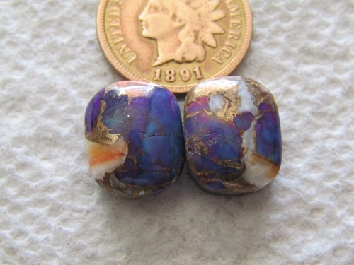 Spiny oyster shell purple - spiny,