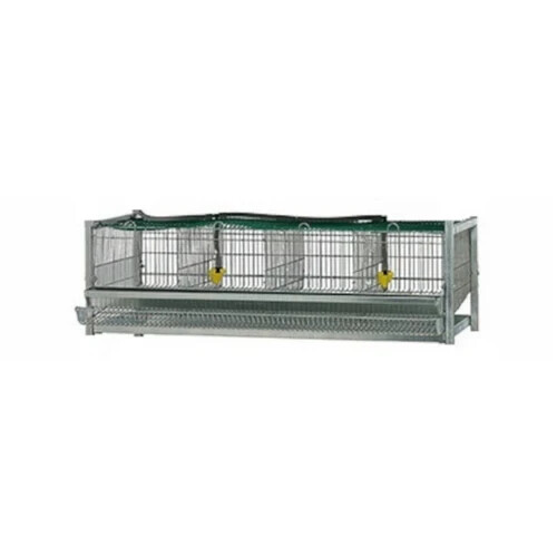 Gaun single quail breeder - gaun,