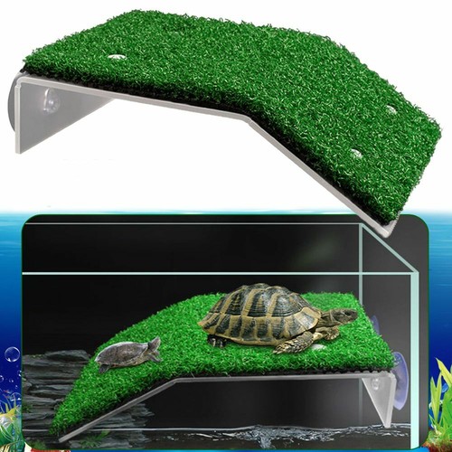 Turtle basking platform - turtle,