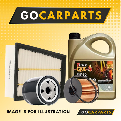 Service kit for rover mgf - service,
