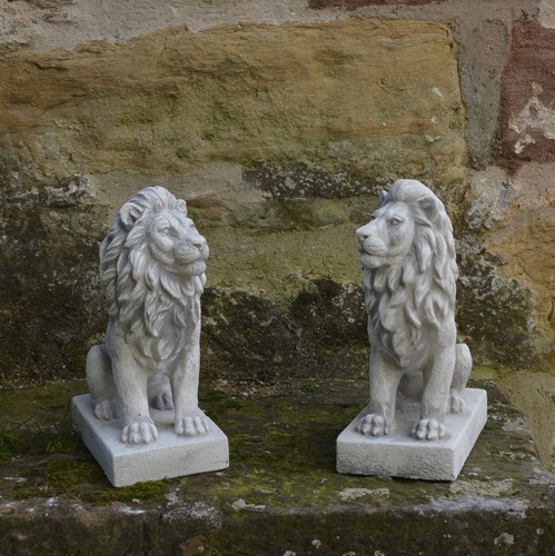 Lion set stone - lion,