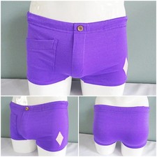 Vintage Swimming Trunks Shorts 1970s Mens Purple Nylon Button Patch Pegasus 70s