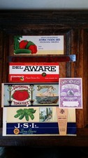 LOT ANTIQUE / VINTAGE ADVERTISING CAN LABELS VEGETABLES ETC - UNUSED
