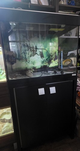 Fluval roma and cabinet - roma,