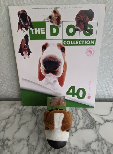 Basset hound the dog - -,