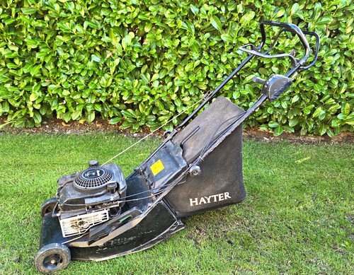 Hayter harrier self - 41,