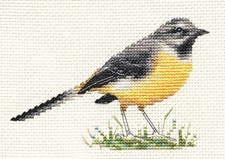 GREY WAGTAIL ~ Bird  Counted