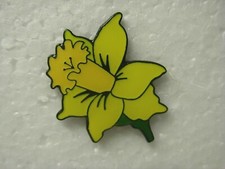 Daffodil pin badge flower - pin, badge.