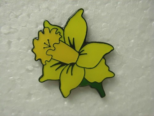 Daffodil pin badge flower - pin,