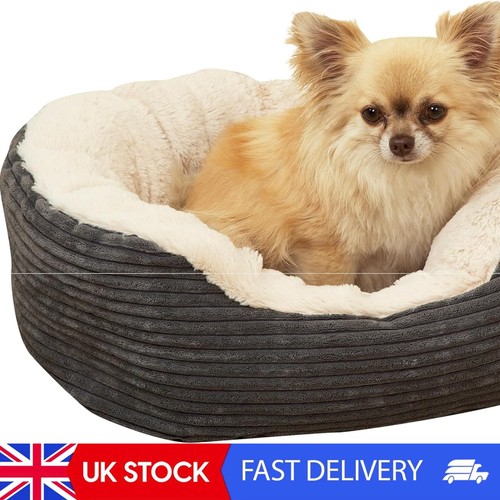 Jumbo cord plush - bed, –