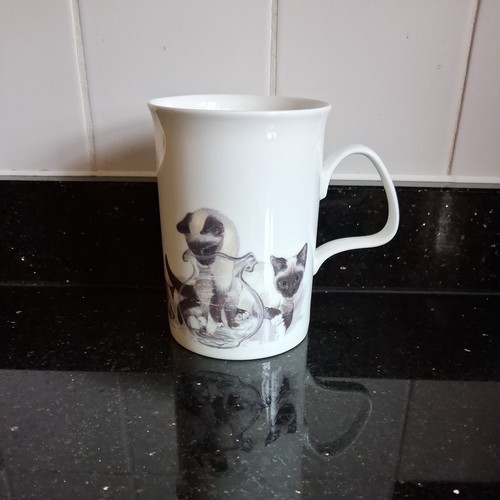 Fine bone china cats - fine, mug