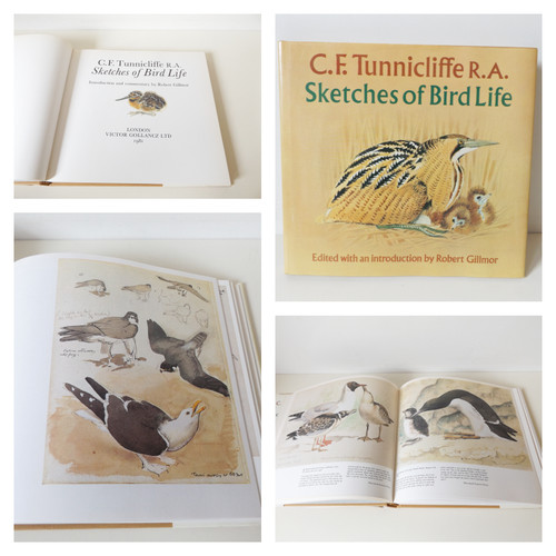 1981 sketches bird life 1st - life,