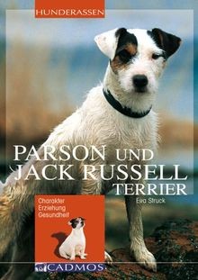 Parson und jack russell - parson,
