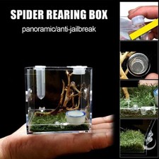 Feeder Insect Box Breeding