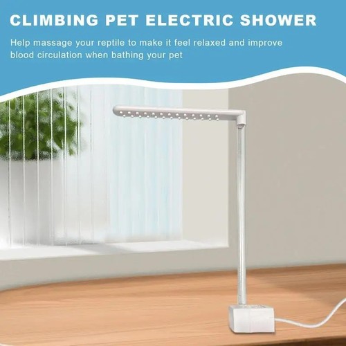 Bearded dragon bath - bearded,