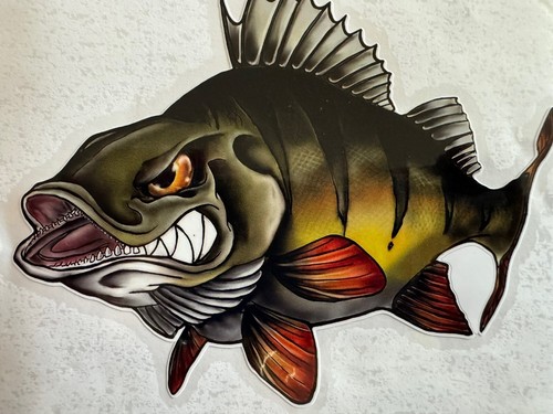 Perch fishing decal predator - perch,
