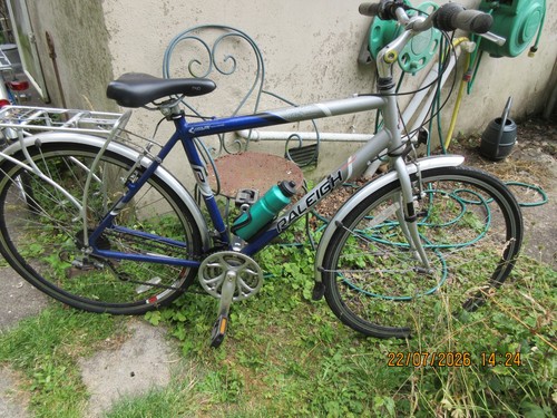 Raleigh gents pioneer - raleigh,