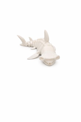 Flexible skeleton shark - shark, fidget